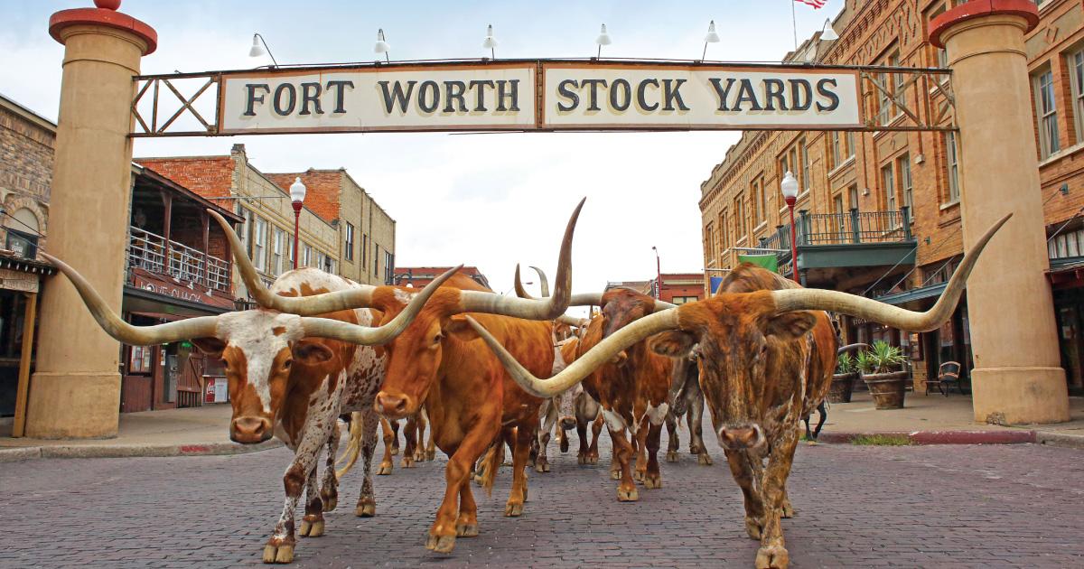 Fort Worth's Cowboy Culture and Fine Art Vibe Makes an Ideal Event Destination